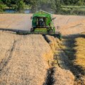 Żywność będzie droższa. Cena pszenicy bije rekordy, Rosja wstrzymuje eksport nawozów