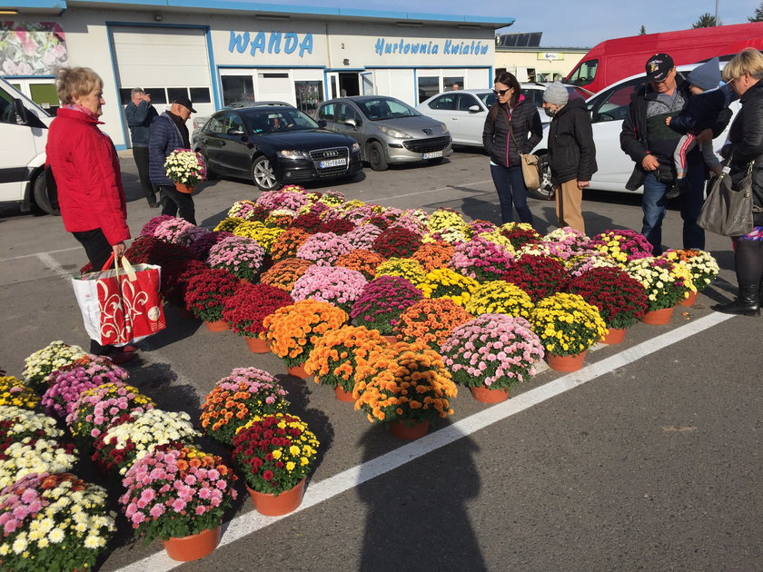 Dzień Wszystkich Świętych w Rzeszowie