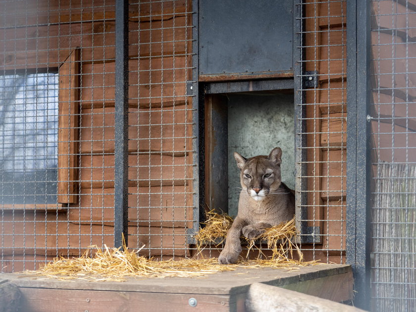 W ZOO mieszka 600 zwierząt