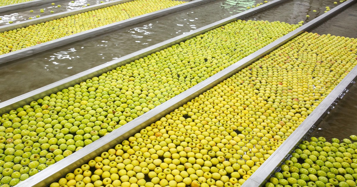 Upadek wielkiej przetwórni. Rolnicy stracili grube miliony