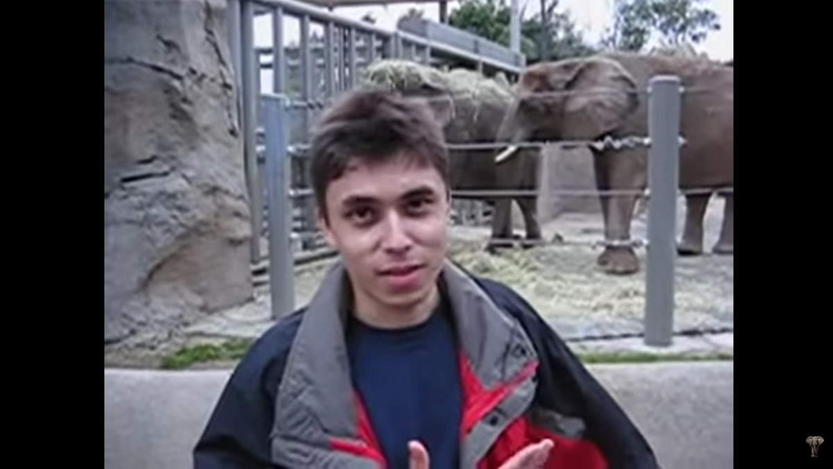 "Me at the zoo", czyli pierwszy film w serwisie YouTube: historia