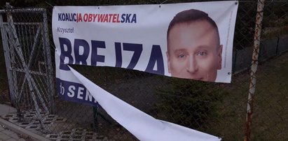 Zniszczono banery Krzysztofa Brejzy. Zrobił to krewny działacza PiS?