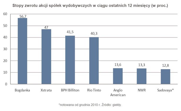 Stopy zwrotu akcji spółek wydobywczych w ciągu ostatnich 12 miesięcy