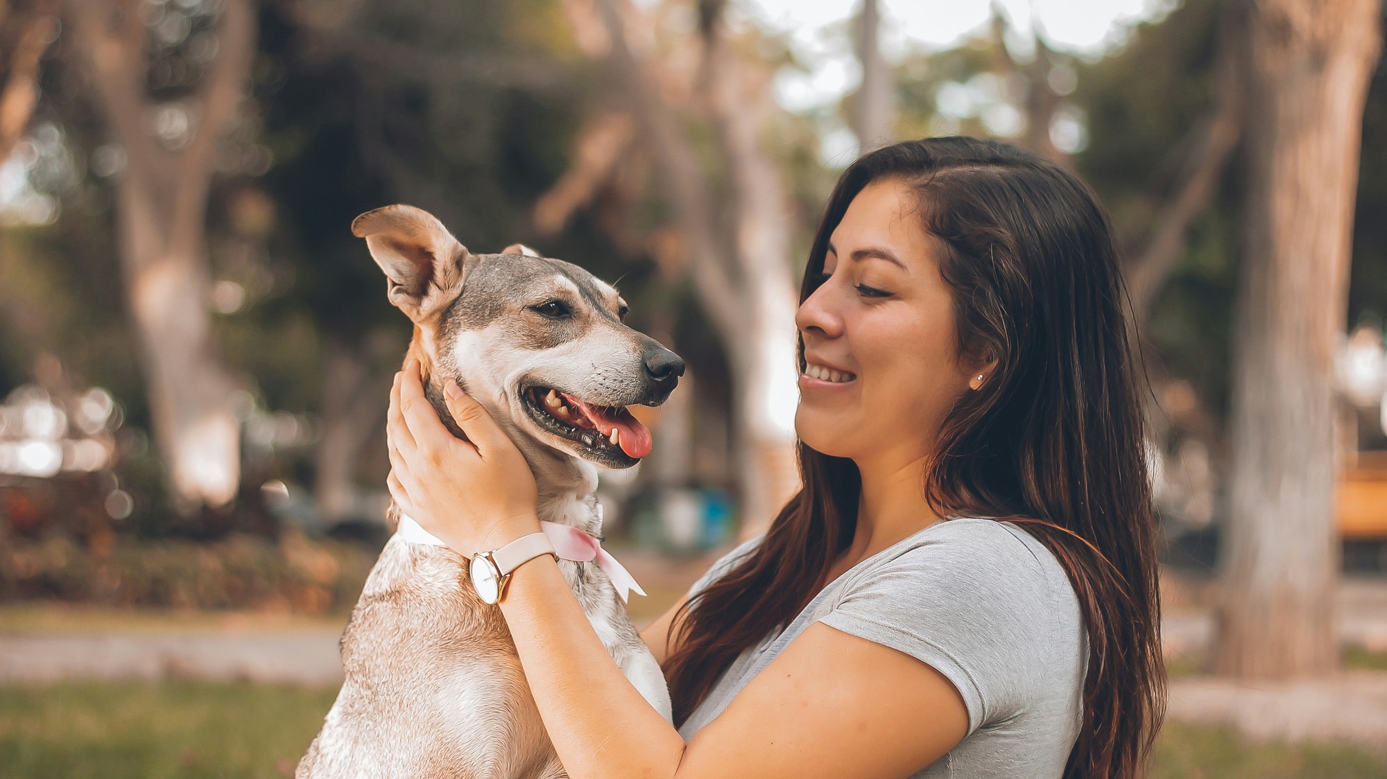 Rozmaznávanie vášho psa sa nemusí vyplatiť.