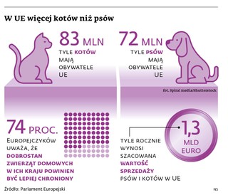W UE więcej kotów niż psów