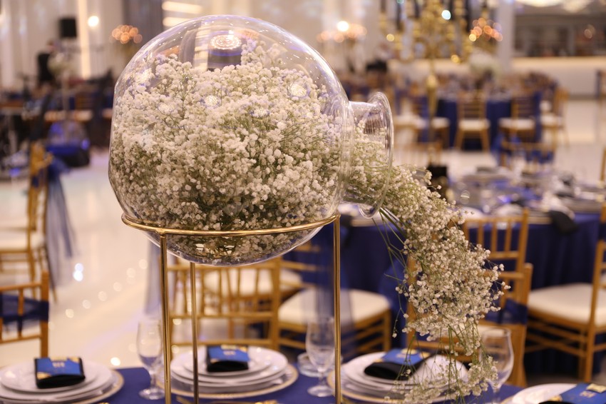 Punoletstvo sina Borka Radivojevića