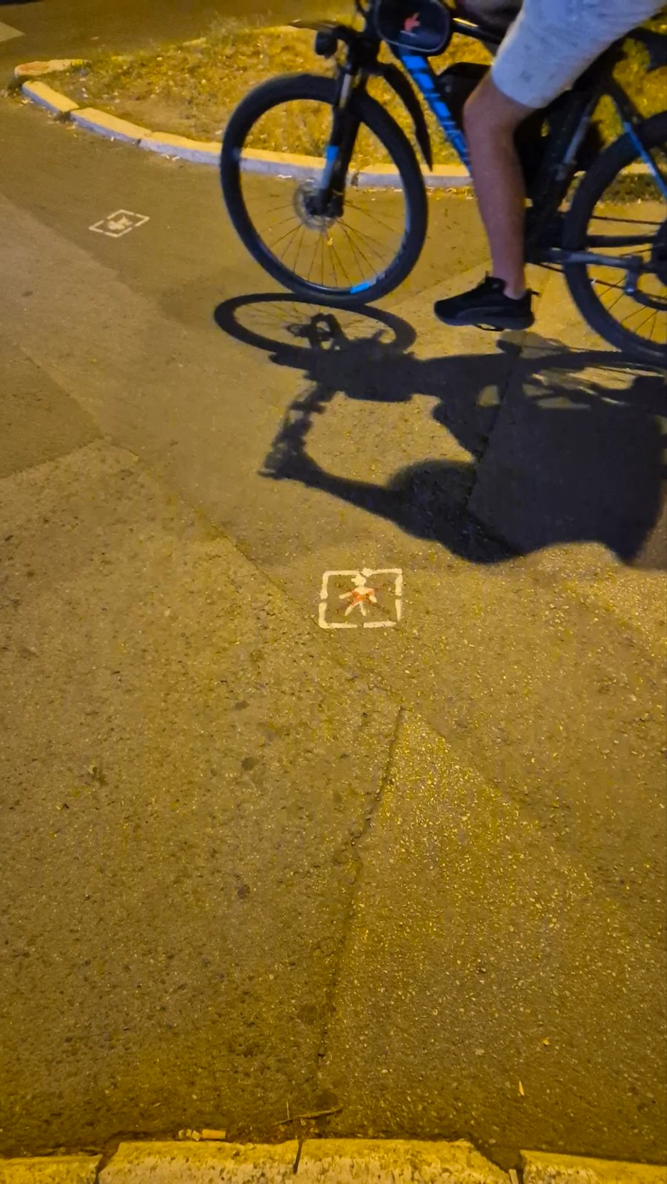 Lažni saobraćajni znaci u Novom Sadu