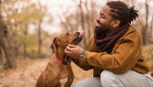 Islam advises to focus on other pets [iStock]