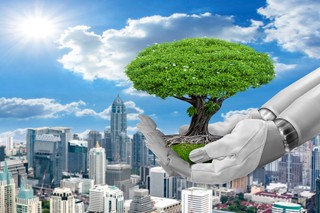 Amazon rozwija zielone inwestycje w Polsce