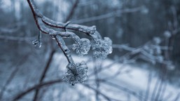 pogodowe starcie nad polską. wszystko zmieni się 16. stycznia