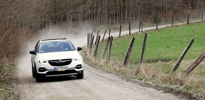 Rodzinny Opel idealny na wakacyjny wyjazd za miasto