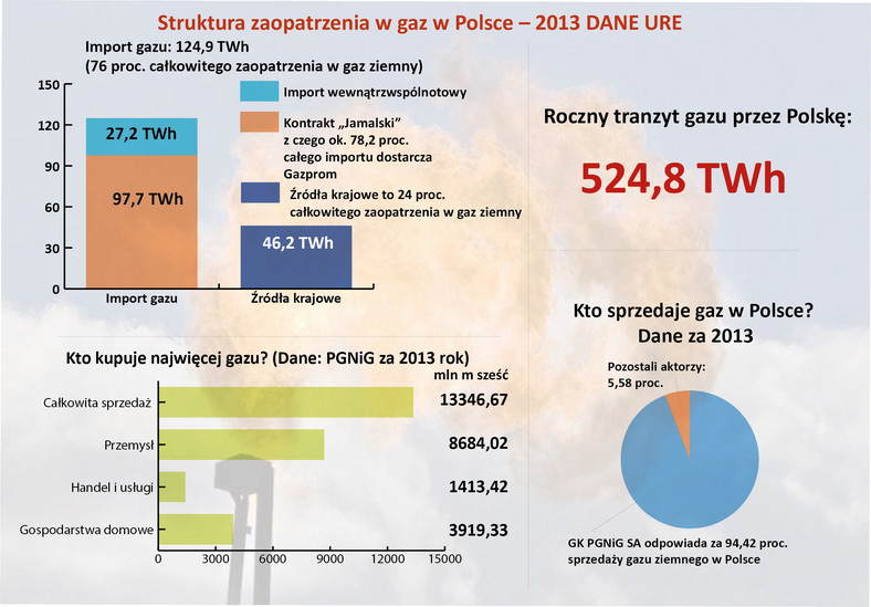 Struktura zaopatrzenia w gaz w Polsce – 2013
