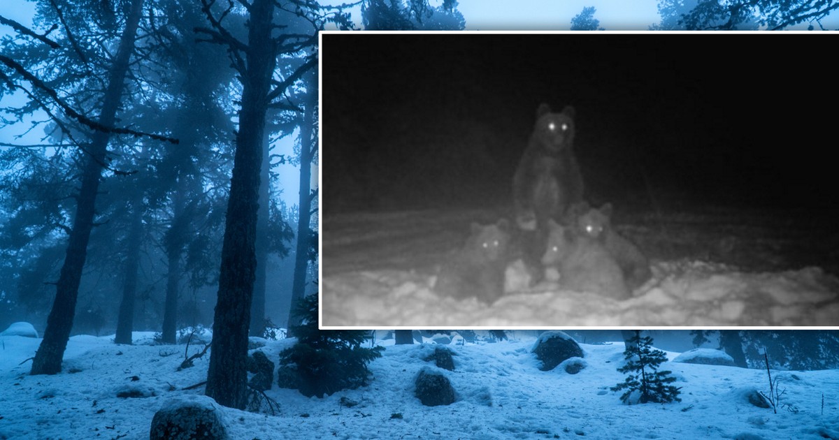 Co za widok w Bieszczadach! Tego w środku zimy nikt się nie spodziewał