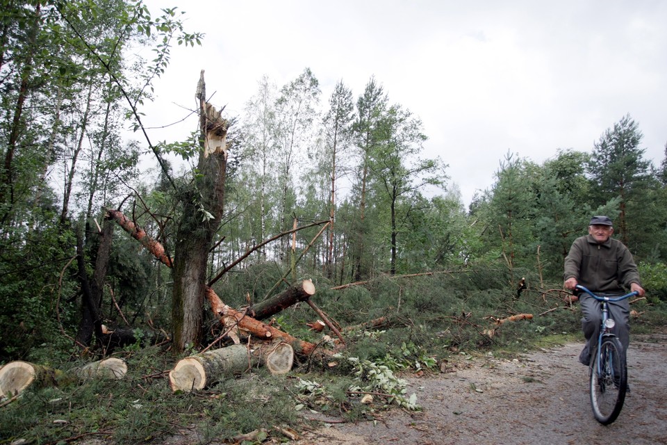 Sobków po przejściu nawałnicy, fot. Piotr Polak/PAP