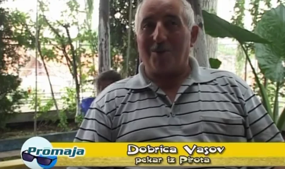 Pirot, pošumljena terasa pekara Dobrice