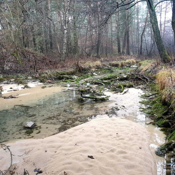 Wysychająca rzeka Sztoła