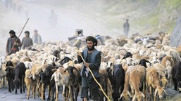 afganistan. pęknięcie wśród talibów