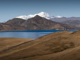 Rząd tybetański: Przyszły dalajlama może być dowolnej płci