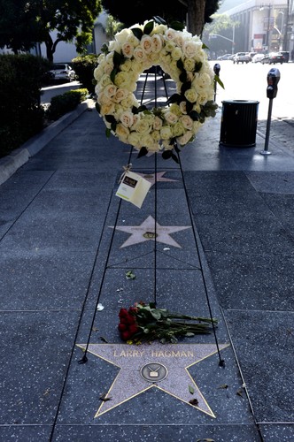 Kwiaty na Walk of Fame