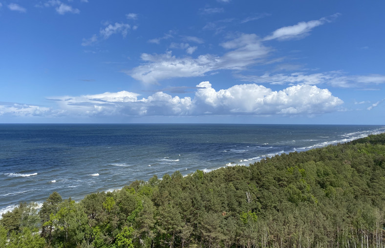 Panorama na morze i las widziana z Gołębiewskiego w Pobierowie