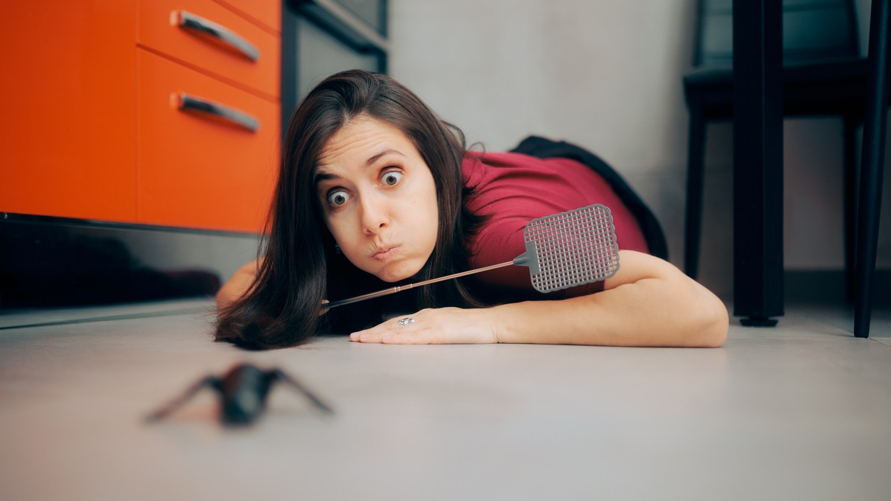 Ako sa efektívne a natrvalo zbaviť pavúkov v dome.