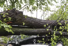 Jakie są szanse na odszkodowanie, gdy auto zostanie zniszczone przez wichurę?