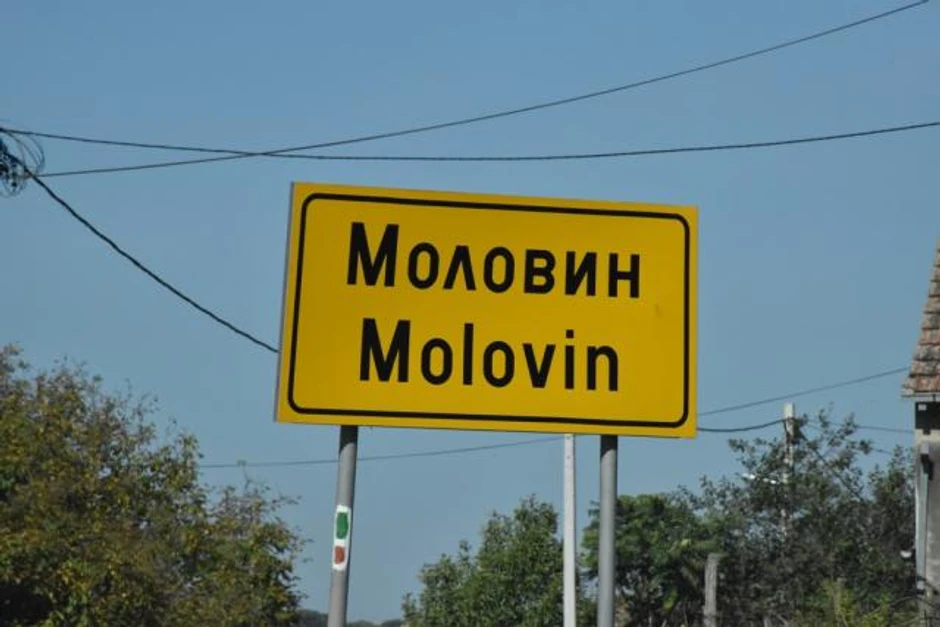 Molovin
