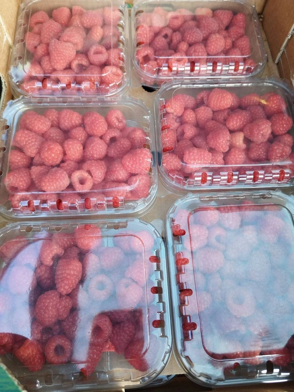 Gazdinstvo Jakovljević