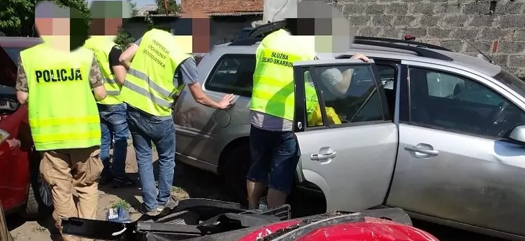 Pomorscy policjanci zlikwidowali gigantyczną "dziuplę samochodową"