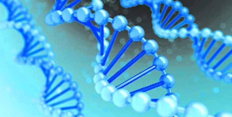 dna