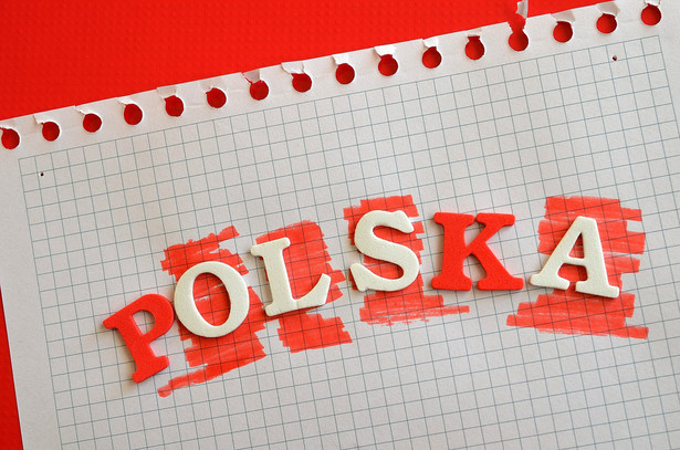 Wybory prezydenckie AD 2020 oczami polskich publicystów i politologów