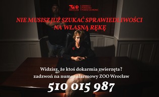 Widzisz dokarmianie w zoo? Zadzwoń na numer alarmowy!