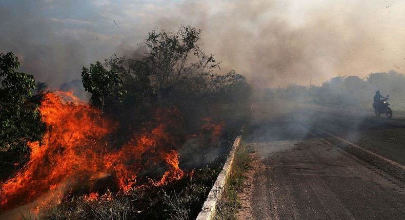 A fire burns along a highway in a deforested section of the Amazon basin on November 23, 2014 in Ze Doca, Brazil.