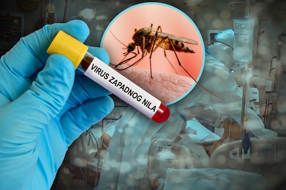 CRVENI ALARM U GRČKOJ! Virus Zapadnog Nila: Šest osoba preminulo, epidemija se širi brže nego prošle godine