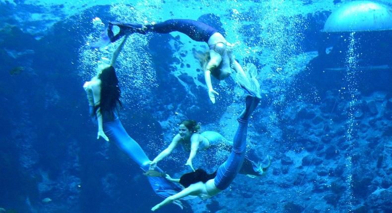 Mermaids performing underwater.
