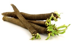 Skorzonera z wody, forszmak, kremowa brukselka oraz imbirki. Kuchnia retro