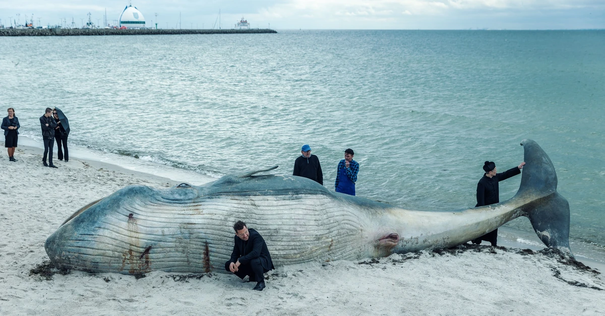 Wyczekiwany polski serial kryminalny do obejrzenia wcześniej. Niezwykła atrakcja