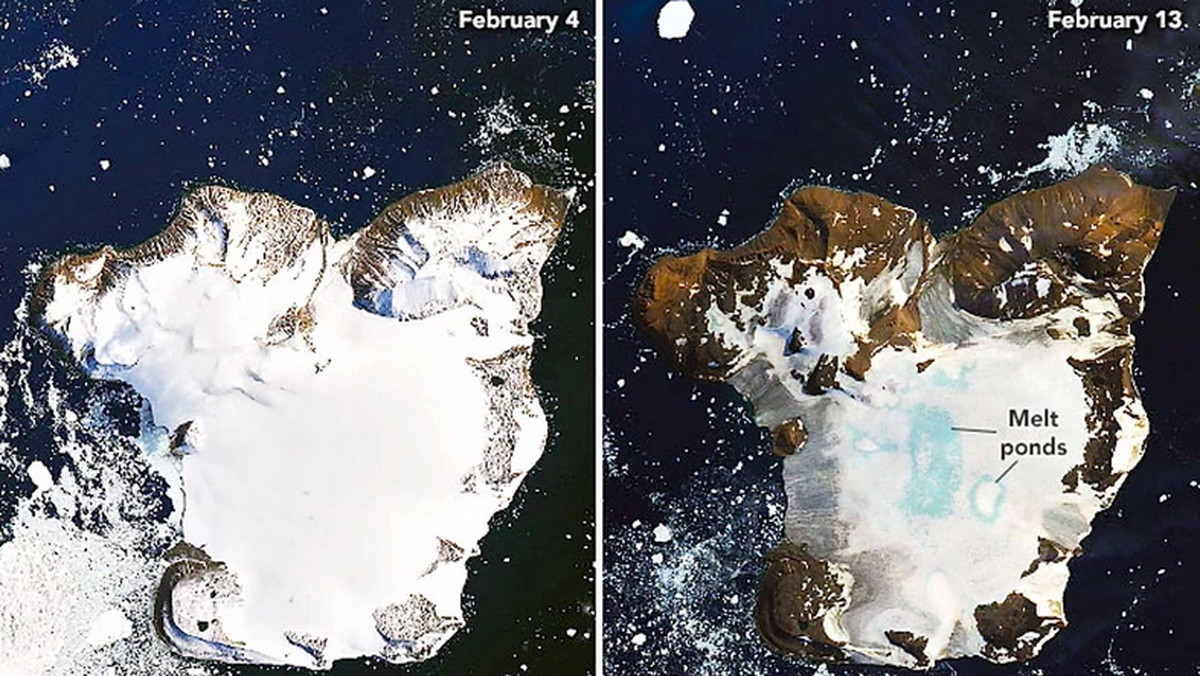 Antarktyka: znikająca pokrywa śnieżna zaszokowała naukowców