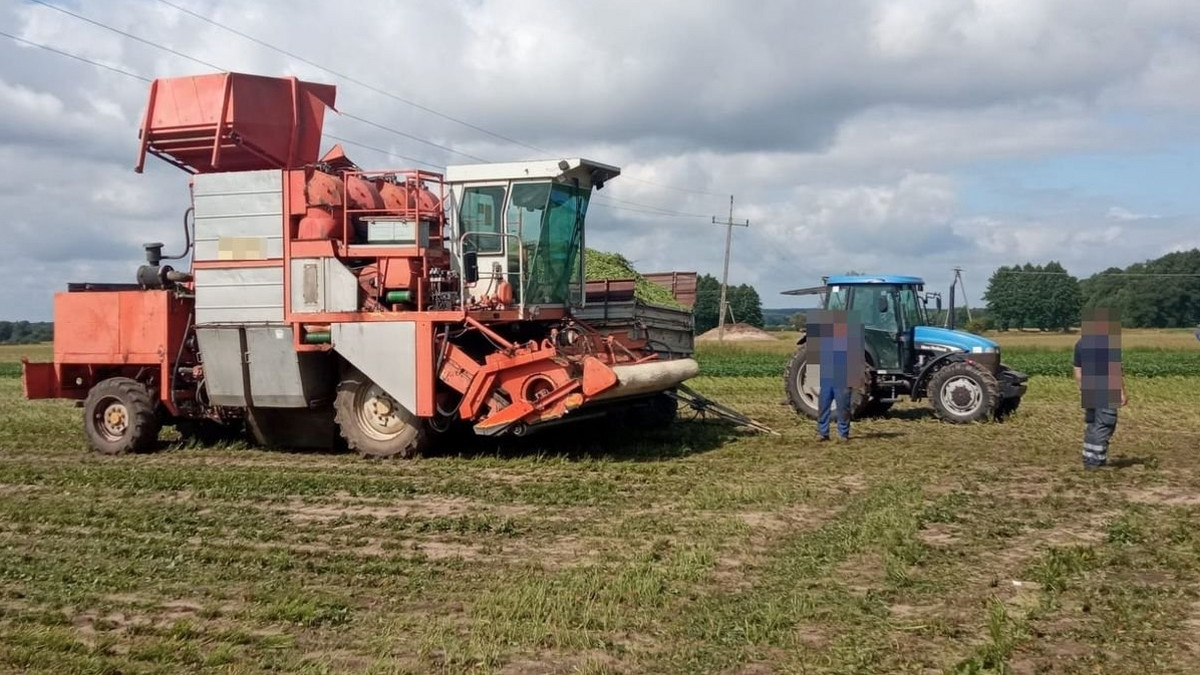 Zginęli podczas zbioru fasoli. Na jaw wychodzą wstrząsające okoliczności