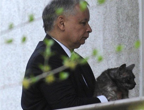 Jarosław Kaczyński wypełni pustkę po ukochanym kocie