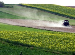Biomasa mniej eko od ropy