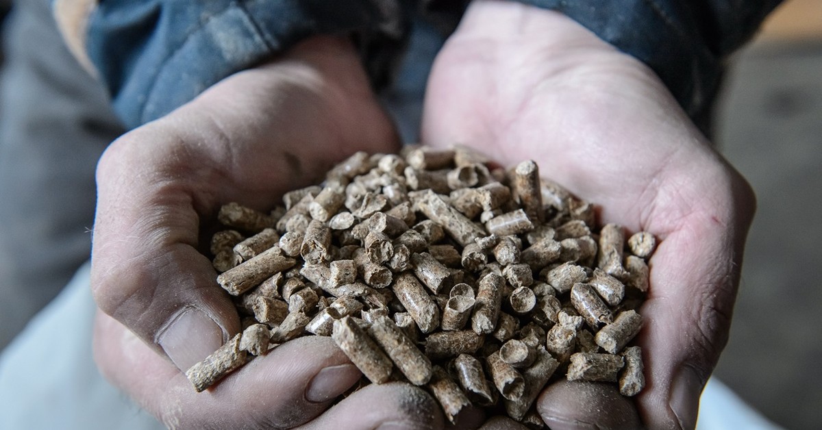 Wracają listy kolejkowe i limity sprzedaży. W składach brakuje pelletu [RAPORT]