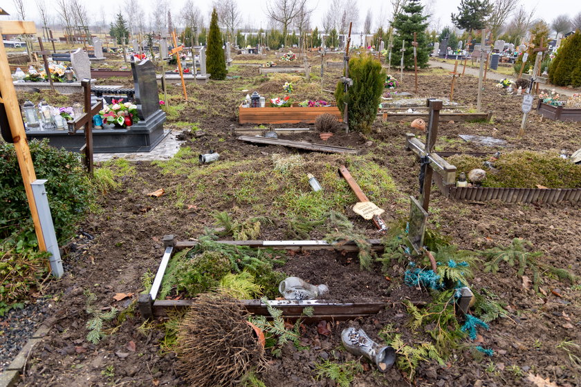 Zgroza! Przewrócone krzyże, zniszczone mogiły ... Dziki ryją w grobach na szczecińskim cmentarzu!