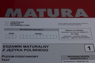 Matura 2025 - odpowiedzi, tematy. Arkusze maturalne język polski - PDF