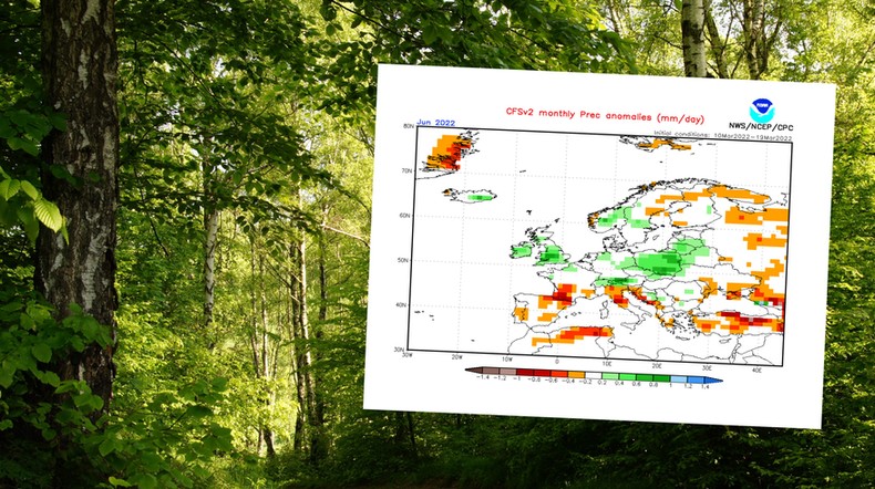 Jaka pogoda czeka nas w najbliższych miesiącach? Prognoza na wiosnę 2022