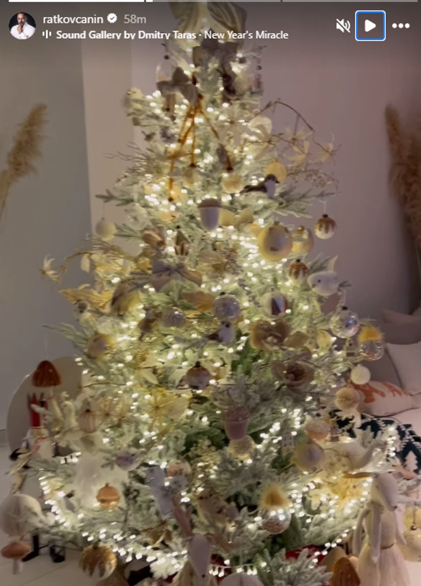 Branko Babić okitio dom