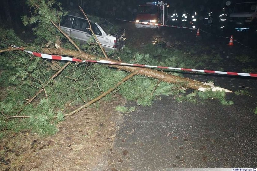 Polonez roztrzaskał się na drzewie. FOTO