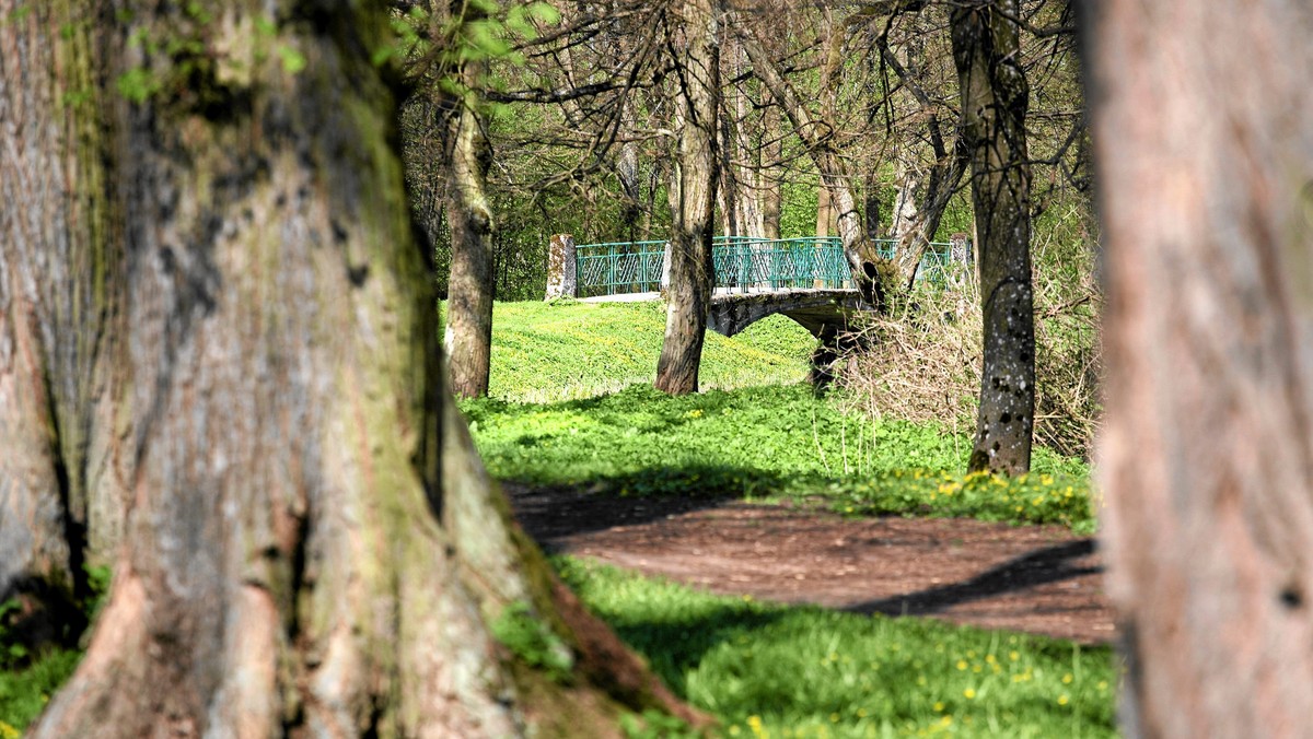 Zabytkowy Park Kortowski w Olsztynie zamienia się w wielki parking. Swoje samochody zostawiają na nim studenci Uniwersytetu Warmińsko-Mazurskiego. Władze uczelni twierdzą, że problem znają i szukają rozwiązania - pisze na swych stronach internetowych "Gazeta Wyborcza".