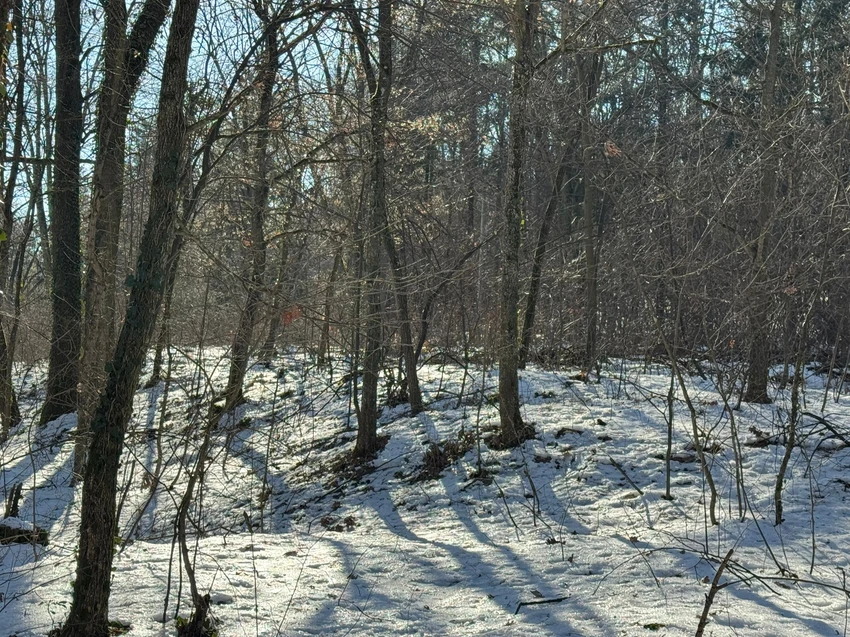 Mesto ubistva  Živka Bakića,  jezero Trešnja