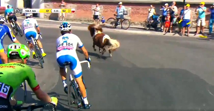 Niespodziewany gość na trasie Tour de Pologne